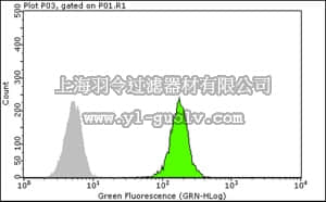 merck millipore,默克密理博,05-1511,Anti-Y14 Antibody, clone 4C4