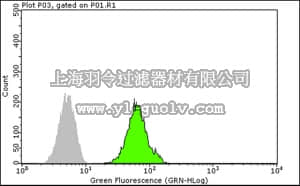 merck millipore,默克密理博,05-1529,Anti-FXR1 Antibody, clone 6BG10