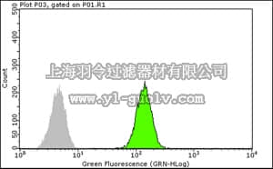 merck millipore,默克密理博,05-1532,Anti-SMN Antibody, clone 2B1