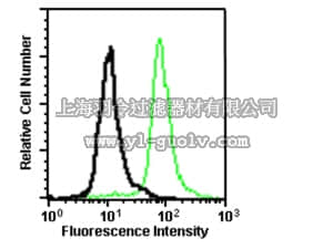 merck millipore,默克密理博,05-1567,Anti-p120 Catenin Antibody, clone 15D2