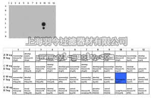 merck millipore,默克密理博,05-1951-S,Anti-trimethyl Histone H3 (Lys27) Antibody, clone 18E9.1, Trial Size