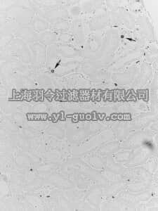 merck millipore,默克密理博,05-347,Anti-PCNA Antibody, clone PC10
