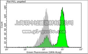 merck millipore,默克密理博,05-368,Anti-phospho-Ser/Thr-Pro MPM-2 Antibody