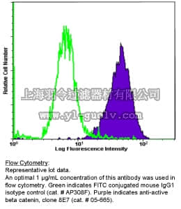 merck millipore,默克密理博,05-665,Anti-Active-β-Catenin (Anti-ABC) Antibody, clone 8E7