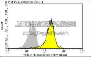 merck millipore,默克密理博,05-729,Anti-Bcl2 Antibody, clone 100
