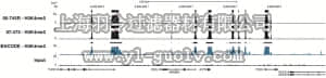 merck millipore,默克密理博,05-745R,Anti-trimethyl-Histone H3 (Lys4) Antibody, clone 15-10C-E4, rabbit monoclonal