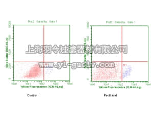 merck millipore,默克密理博,05-843R,Anti-phospho-Bcl-2 (Ser70) Antibody, clone 69-10C-2-10C-18, rabbit monoclonal