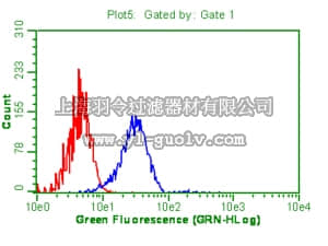merck millipore,默克密理博,05-925R,Anti-MEK1 Antibody, NT, clone C12T, rabbit monoclonal