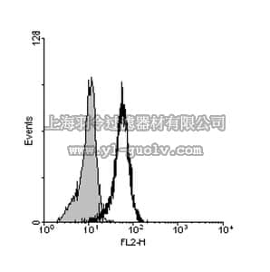 merck millipore,默克密理博,06-1067,Anti-Interleukin 10 Receptor Alpha (IL-10RA) Antibody