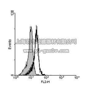 merck millipore,默克密理博,06-1071,Anti-Interleukin 17 Receptor Beta (IL-17RB) Antibody
