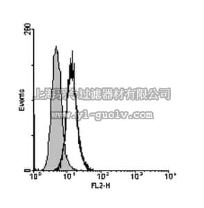 merck millipore,默克密理博,06-1073,Anti-IL-20R alpha Antibody