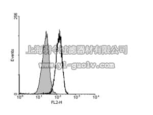 merck millipore,默克密理博,06-1080,Anti-IL-25 (IL-17E) Antibody, NT
