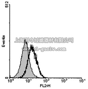 merck millipore,默克密理博,06-1081,Anti-IL-26 Antibody