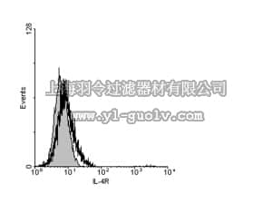 merck millipore,默克密理博,06-1084,Anti-IL-4R (CD124) Antibody, cytoplasmic