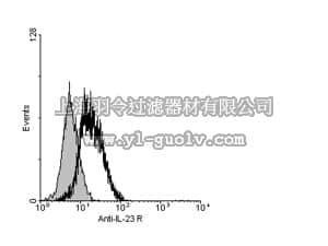 merck millipore,默克密理博,06-1331,Anti-IL-23R Antibody, cytoplasmic
