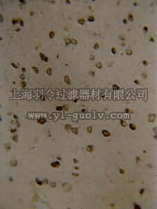 merck millipore,默克密理博,06-315,Anti-KA2/GRIK5 (Kainate Receptor) Antibody