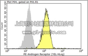 merck millipore,默克密理博,06-680,Anti-Androgen Receptor Antibody