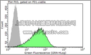 merck millipore,默克密理博,06-725-I,Anti-FcεRI α subunit Antibody