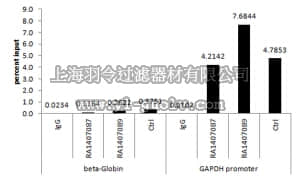 merck millipore,默克密理博,06-942,Anti-acetyl-Histone H3 (Lys9) Antibody