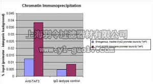 merck millipore,默克密理博,07-1802,Anti-TAF3 Antibody