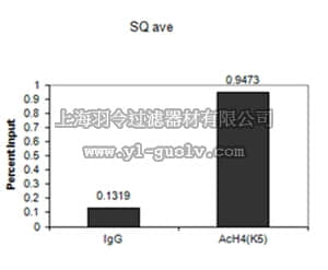 merck millipore,默克密理博,07-327,Anti-acetyl-Histone H4 (Lys5) Antibody
