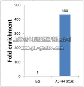 merck millipore,默克密理博,07-329,Anti-acetyl-Histone H4 (Lys16) Antibody