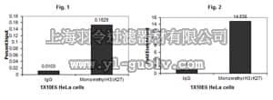 merck millipore,默克密理博,07-448-S,Anti-monomethyl-Histone H3 (Lys27) Antibody, Trial Size