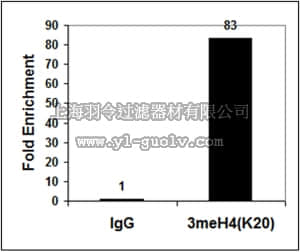 merck millipore,默克密理博,07-463,Anti-trimethyl-Histone H4 (Lys20) Antibody
