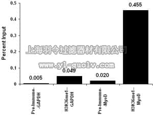 merck millipore,默克密理博,07-548,Anti-monomethyl-Histone H3 (Lys36) Antibody