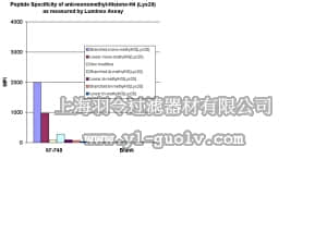 merck millipore,默克密理博,07-748,Anti-monomethyl-Histone H4 (Lys20) Antibody