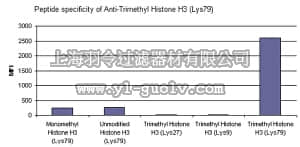merck millipore,默克密理博,07-952,Anti-trimethyl Histone H3 (Lys79) Antibody