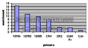 merck millipore,默克密理博,09-820,Anti-Klf2 Antibody