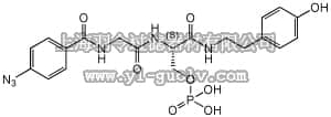 merck millipore,默克密理博,100081,14-3-3 Antagonist I, 2-5 - Calbiochem
