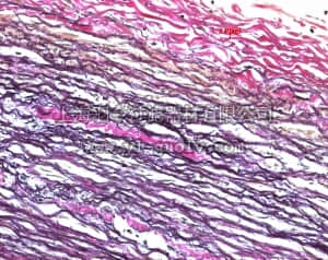 merck millipore,默克密理博,100199,按照van Gieson的Picrofuchsin溶液