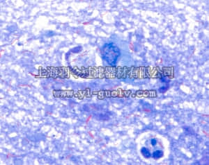 merck millipore,默克密理博,101287,Loffer's 次甲基蓝溶液