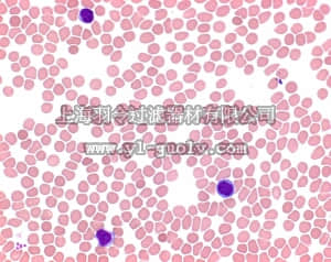 merck millipore,默克密理博,101424,麦格 EMB 培养基