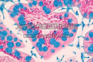 merck millipore,默克密理博,101647,亚尔襄蓝
