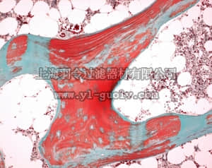merck millipore,默克密理博,101728,慢速脱钙液