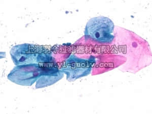 merck millipore,默克密理博,101971,Neo-Cytocolor 快速染色组 - 适合细胞学样品