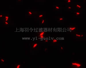 merck millipore,默克密理博,104095,甘油