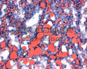 merck millipore,默克密理博,105230,油红