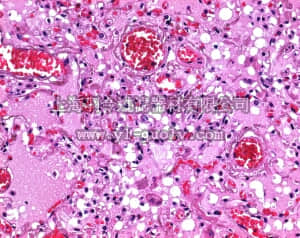 merck millipore,默克密理博,107164,石腊