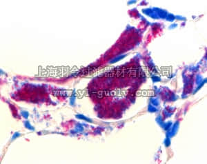 merck millipore,默克密理博,108000,溶痰液剂