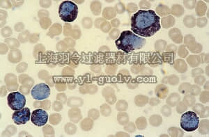 merck millipore,默克密理博,108562,封片试剂