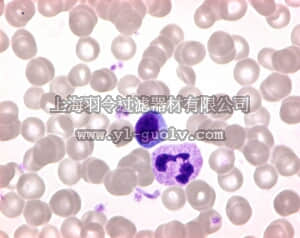 merck millipore,默克密理博,109203,吉姆萨试剂