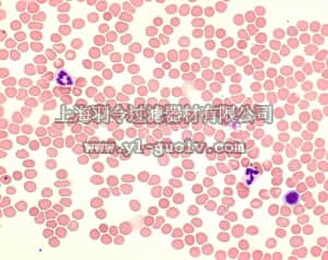 merck millipore,默克密理博,109204,吉姆萨试剂