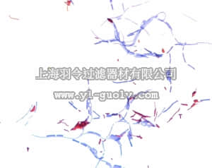 merck millipore,默克密理博,109215,Ziehl-Neelsen 试剂