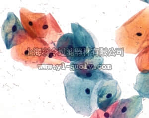 merck millipore,默克密理博,109269,帕氏染色组 3d, EA65染色试剂
