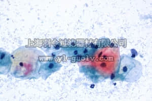 merck millipore,默克密理博,109270,帕氏染色组 3c, EA65染色试剂