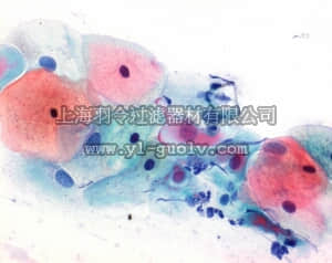 merck millipore,默克密理博,109272,帕氏染色组 3b, EA50染色试剂